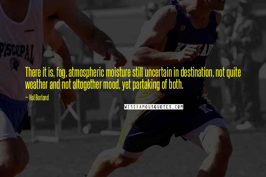 Hal Borland Quotes: There it is, fog, atmospheric moisture still uncertain in destination, not quite weather and not altogether mood, yet partaking of both.