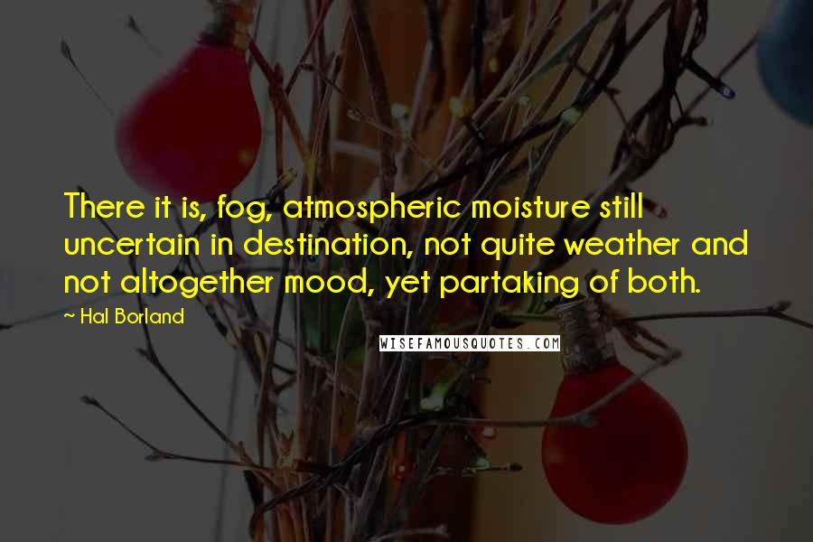 Hal Borland Quotes: There it is, fog, atmospheric moisture still uncertain in destination, not quite weather and not altogether mood, yet partaking of both.