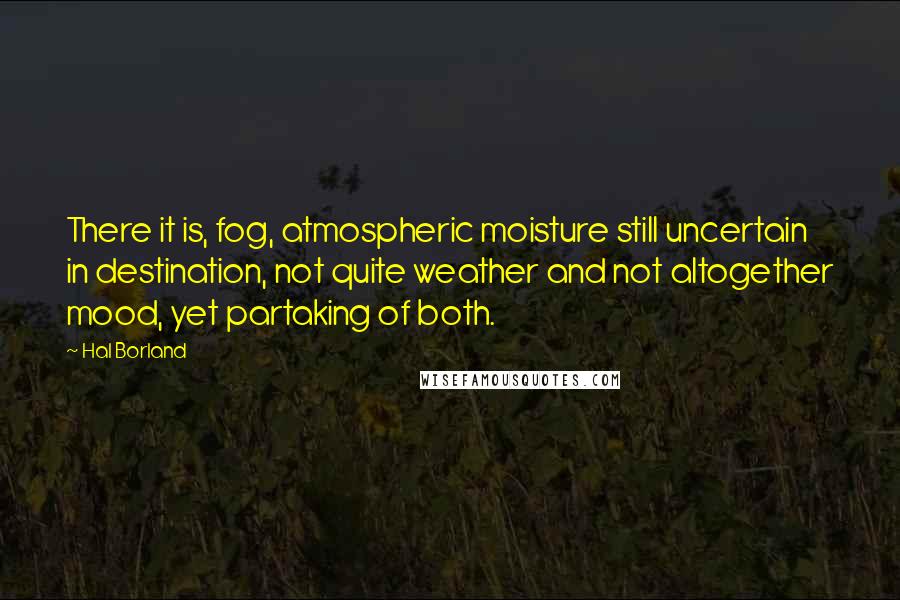 Hal Borland Quotes: There it is, fog, atmospheric moisture still uncertain in destination, not quite weather and not altogether mood, yet partaking of both.