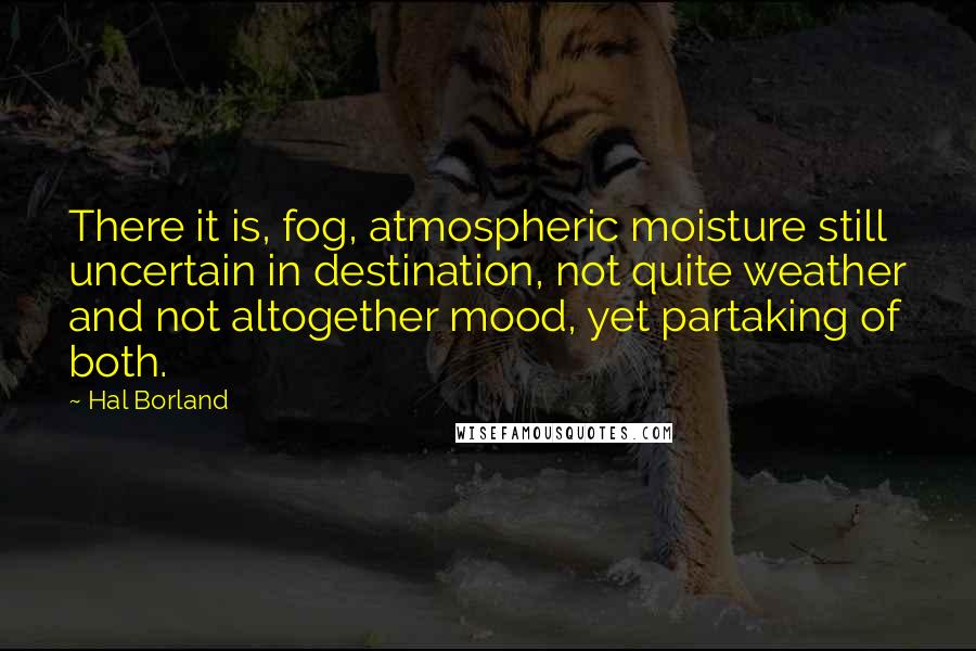 Hal Borland Quotes: There it is, fog, atmospheric moisture still uncertain in destination, not quite weather and not altogether mood, yet partaking of both.
