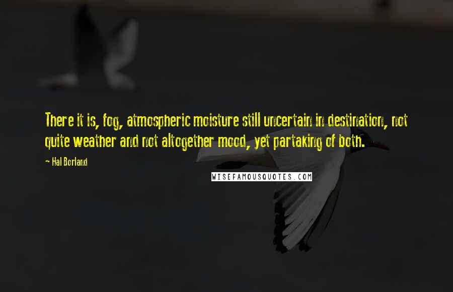 Hal Borland Quotes: There it is, fog, atmospheric moisture still uncertain in destination, not quite weather and not altogether mood, yet partaking of both.