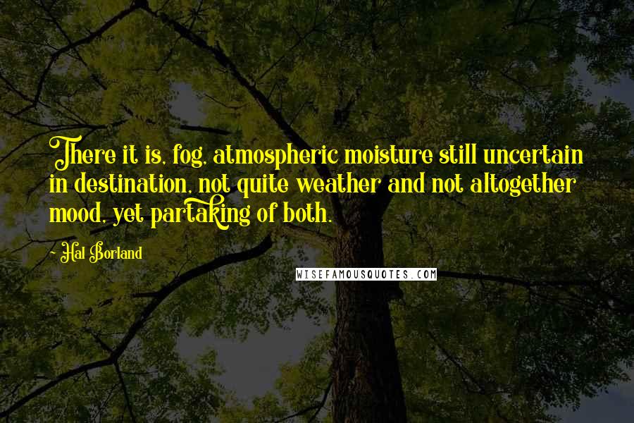 Hal Borland Quotes: There it is, fog, atmospheric moisture still uncertain in destination, not quite weather and not altogether mood, yet partaking of both.