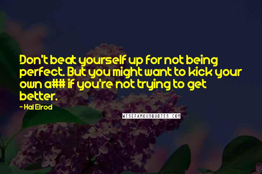 Hal Elrod Quotes: Don't beat yourself up for not being perfect. But you might want to kick your own a## if you're not trying to get better.