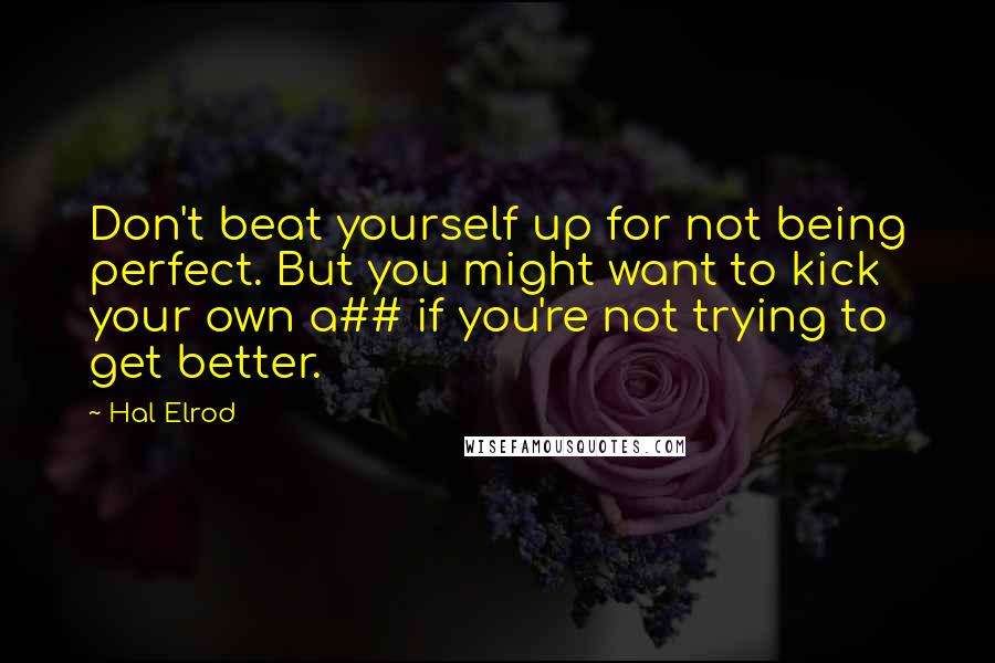 Hal Elrod Quotes: Don't beat yourself up for not being perfect. But you might want to kick your own a## if you're not trying to get better.