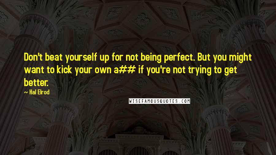 Hal Elrod Quotes: Don't beat yourself up for not being perfect. But you might want to kick your own a## if you're not trying to get better.