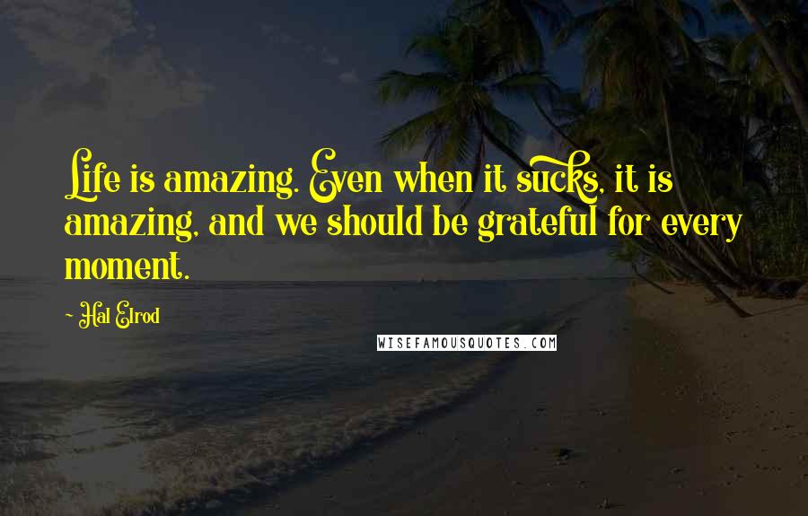 Hal Elrod Quotes: Life is amazing. Even when it sucks, it is amazing, and we should be grateful for every moment.