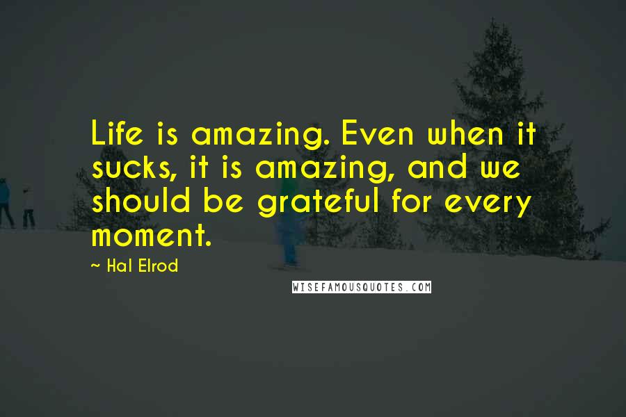 Hal Elrod Quotes: Life is amazing. Even when it sucks, it is amazing, and we should be grateful for every moment.