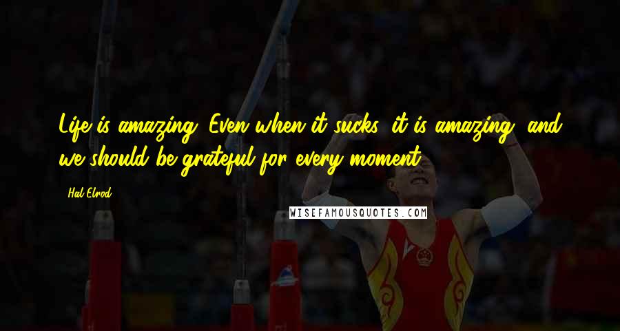 Hal Elrod Quotes: Life is amazing. Even when it sucks, it is amazing, and we should be grateful for every moment.