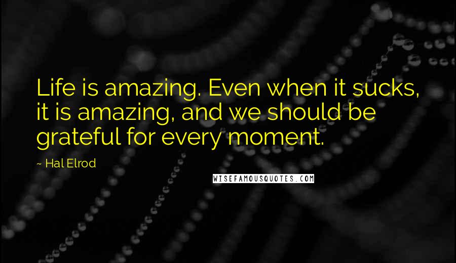 Hal Elrod Quotes: Life is amazing. Even when it sucks, it is amazing, and we should be grateful for every moment.