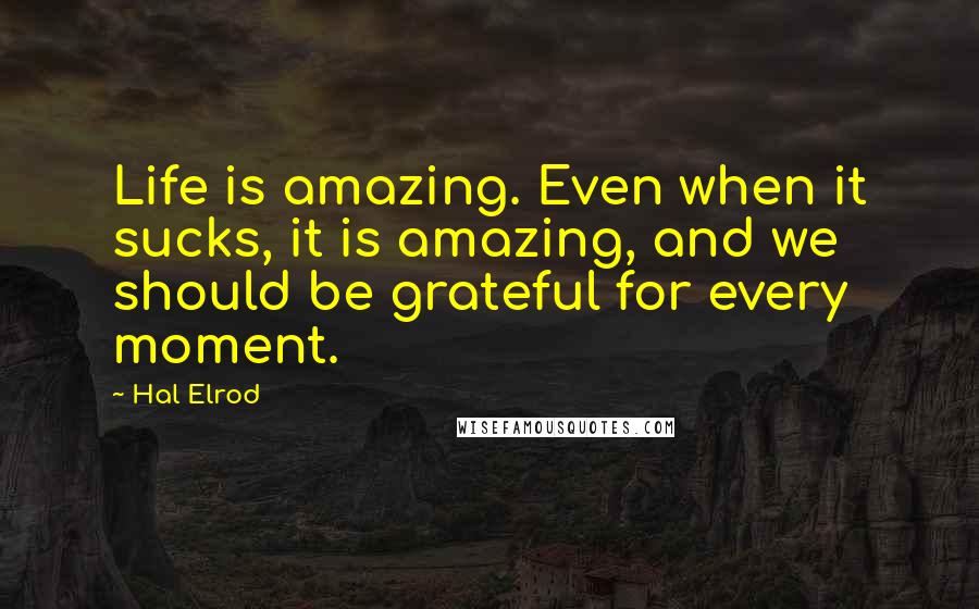 Hal Elrod Quotes: Life is amazing. Even when it sucks, it is amazing, and we should be grateful for every moment.