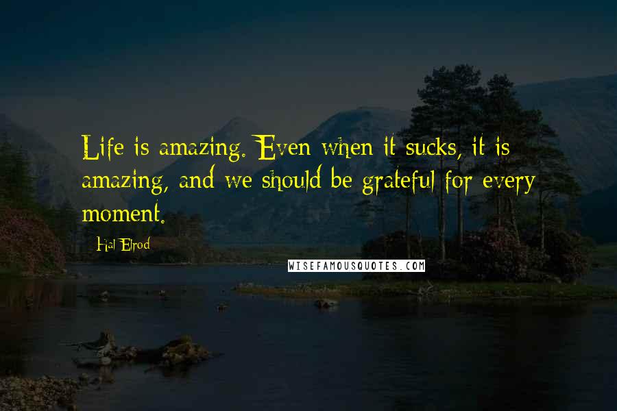 Hal Elrod Quotes: Life is amazing. Even when it sucks, it is amazing, and we should be grateful for every moment.