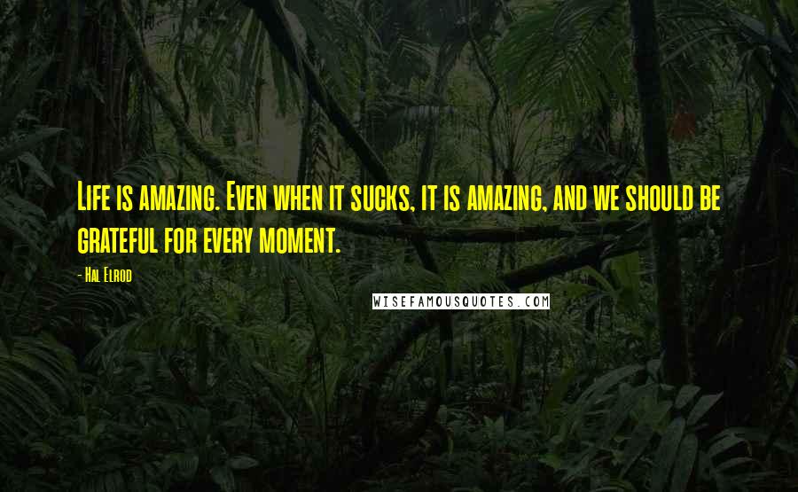 Hal Elrod Quotes: Life is amazing. Even when it sucks, it is amazing, and we should be grateful for every moment.