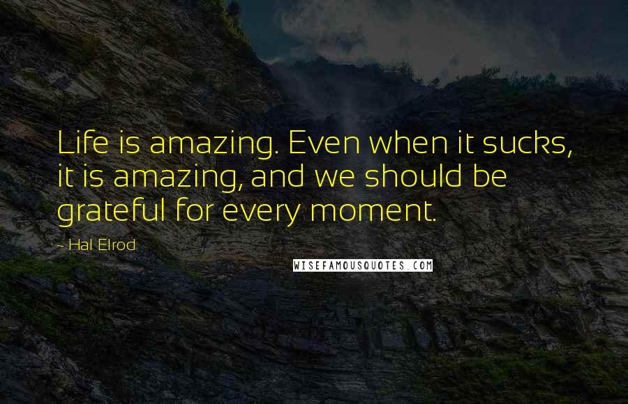 Hal Elrod Quotes: Life is amazing. Even when it sucks, it is amazing, and we should be grateful for every moment.