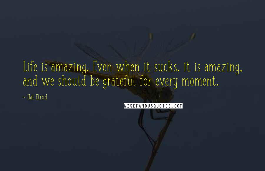 Hal Elrod Quotes: Life is amazing. Even when it sucks, it is amazing, and we should be grateful for every moment.