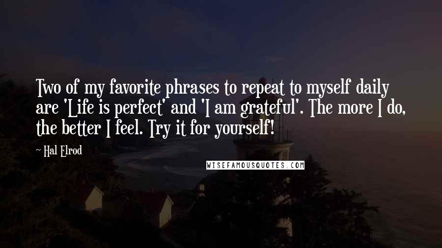 Hal Elrod Quotes: Two of my favorite phrases to repeat to myself daily are 'Life is perfect' and 'I am grateful'. The more I do, the better I feel. Try it for yourself!