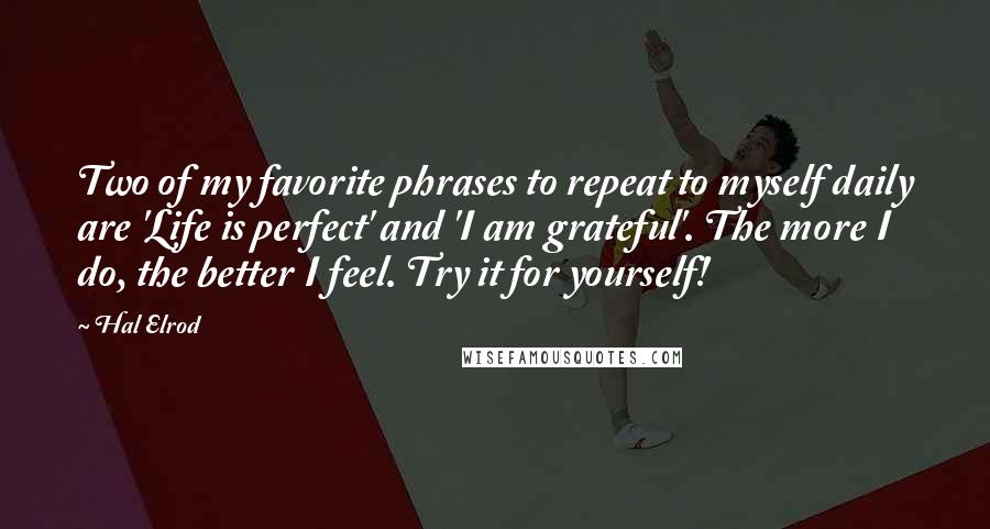 Hal Elrod Quotes: Two of my favorite phrases to repeat to myself daily are 'Life is perfect' and 'I am grateful'. The more I do, the better I feel. Try it for yourself!