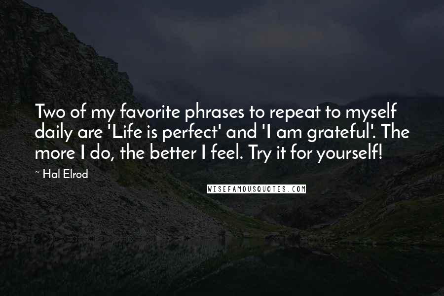 Hal Elrod Quotes: Two of my favorite phrases to repeat to myself daily are 'Life is perfect' and 'I am grateful'. The more I do, the better I feel. Try it for yourself!