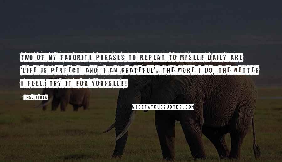 Hal Elrod Quotes: Two of my favorite phrases to repeat to myself daily are 'Life is perfect' and 'I am grateful'. The more I do, the better I feel. Try it for yourself!