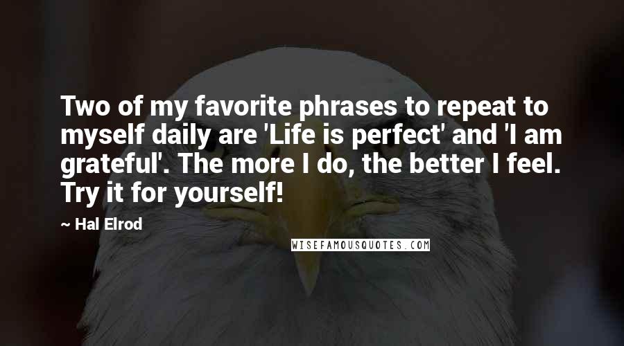 Hal Elrod Quotes: Two of my favorite phrases to repeat to myself daily are 'Life is perfect' and 'I am grateful'. The more I do, the better I feel. Try it for yourself!