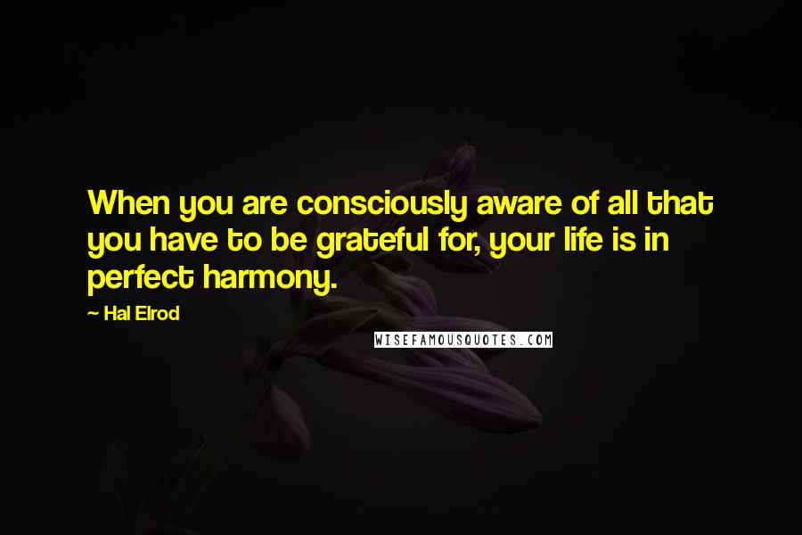 Hal Elrod Quotes: When you are consciously aware of all that you have to be grateful for, your life is in perfect harmony.