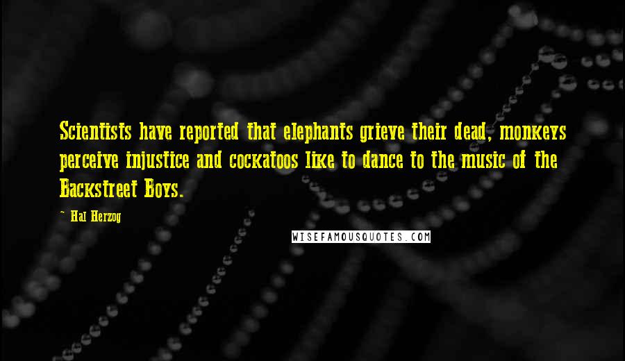 Hal Herzog Quotes: Scientists have reported that elephants grieve their dead, monkeys perceive injustice and cockatoos like to dance to the music of the Backstreet Boys.