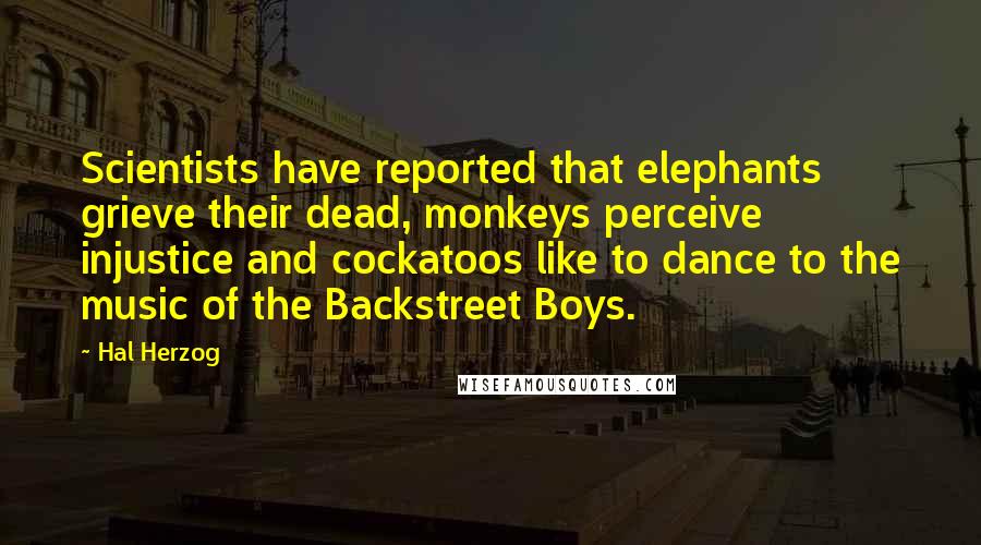 Hal Herzog Quotes: Scientists have reported that elephants grieve their dead, monkeys perceive injustice and cockatoos like to dance to the music of the Backstreet Boys.