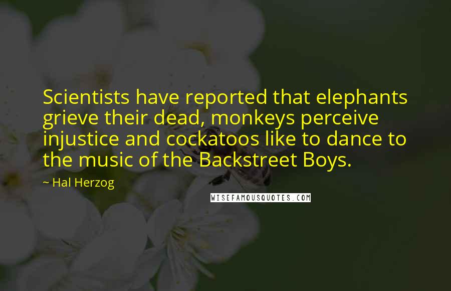 Hal Herzog Quotes: Scientists have reported that elephants grieve their dead, monkeys perceive injustice and cockatoos like to dance to the music of the Backstreet Boys.