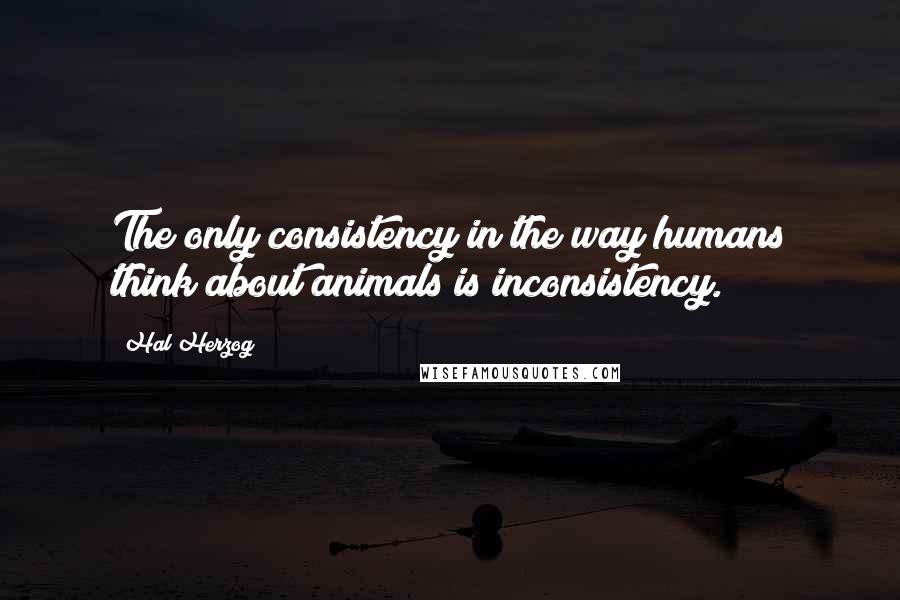 Hal Herzog Quotes: The only consistency in the way humans think about animals is inconsistency.