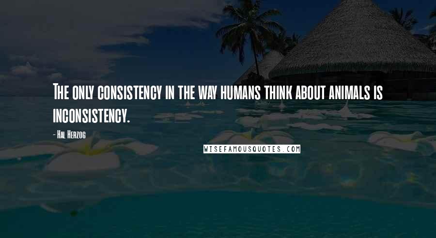 Hal Herzog Quotes: The only consistency in the way humans think about animals is inconsistency.