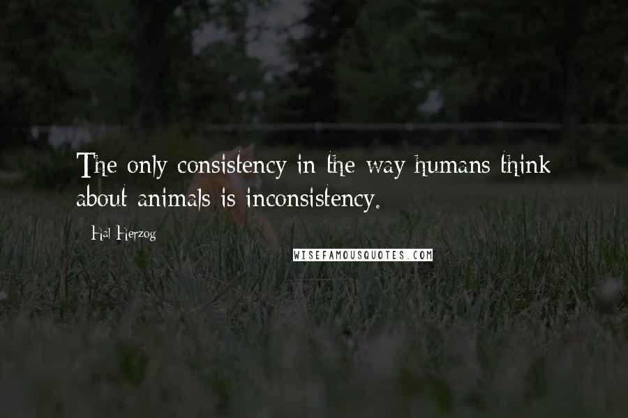 Hal Herzog Quotes: The only consistency in the way humans think about animals is inconsistency.