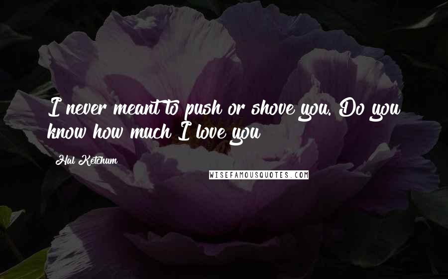 Hal Ketchum Quotes: I never meant to push or shove you. Do you know how much I love you?