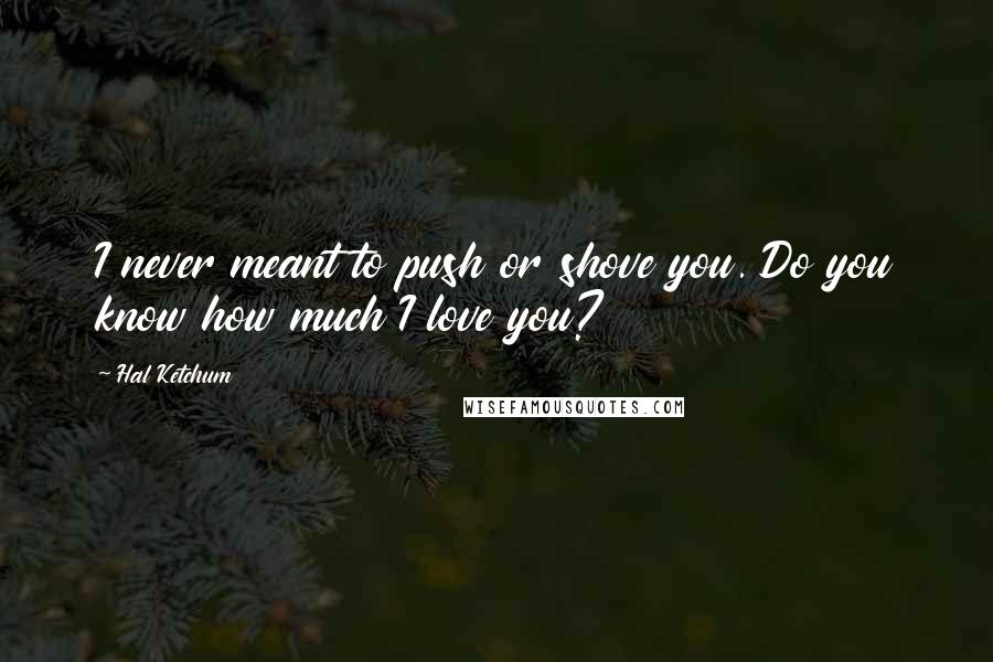 Hal Ketchum Quotes: I never meant to push or shove you. Do you know how much I love you?