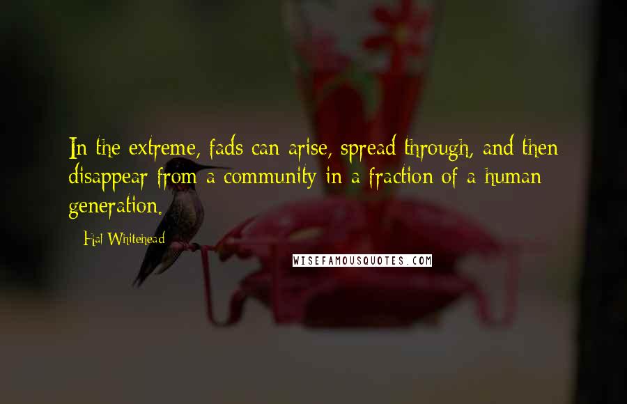 Hal Whitehead Quotes: In the extreme, fads can arise, spread through, and then disappear from a community in a fraction of a human generation.