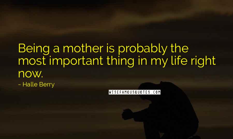 Halle Berry Quotes: Being a mother is probably the most important thing in my life right now.