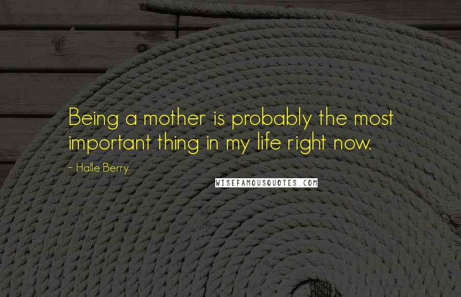 Halle Berry Quotes: Being a mother is probably the most important thing in my life right now.