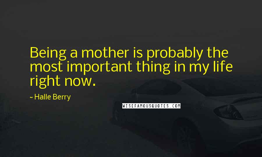 Halle Berry Quotes: Being a mother is probably the most important thing in my life right now.