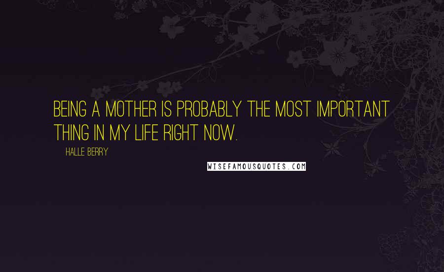 Halle Berry Quotes: Being a mother is probably the most important thing in my life right now.