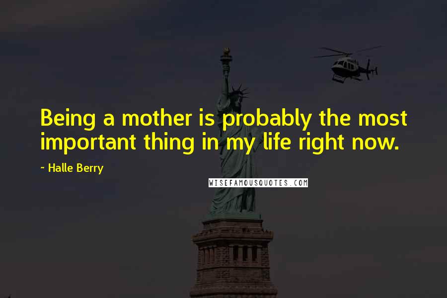 Halle Berry Quotes: Being a mother is probably the most important thing in my life right now.