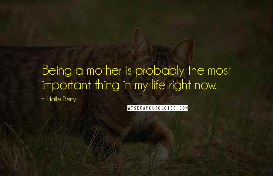 Halle Berry Quotes: Being a mother is probably the most important thing in my life right now.