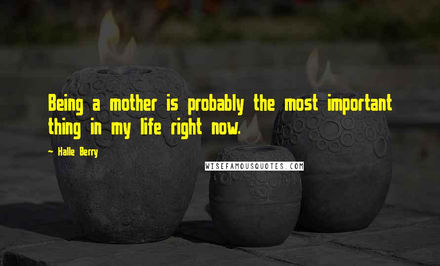 Halle Berry Quotes: Being a mother is probably the most important thing in my life right now.