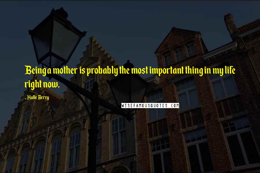 Halle Berry Quotes: Being a mother is probably the most important thing in my life right now.