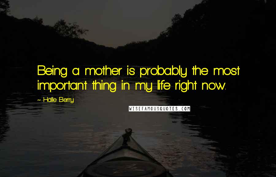 Halle Berry Quotes: Being a mother is probably the most important thing in my life right now.