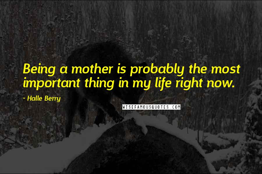 Halle Berry Quotes: Being a mother is probably the most important thing in my life right now.