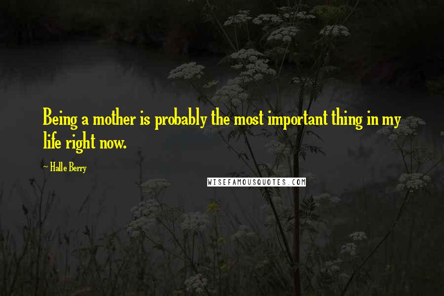 Halle Berry Quotes: Being a mother is probably the most important thing in my life right now.