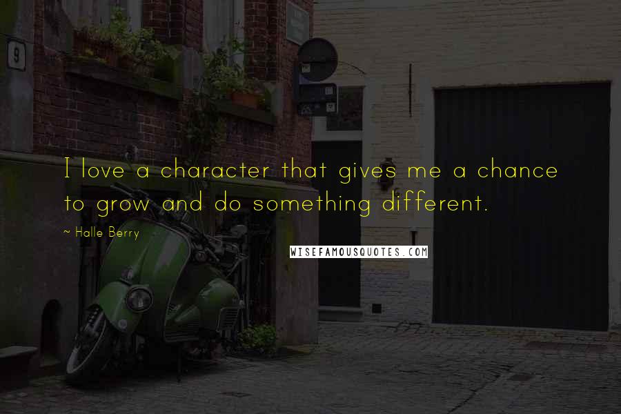 Halle Berry Quotes: I love a character that gives me a chance to grow and do something different.