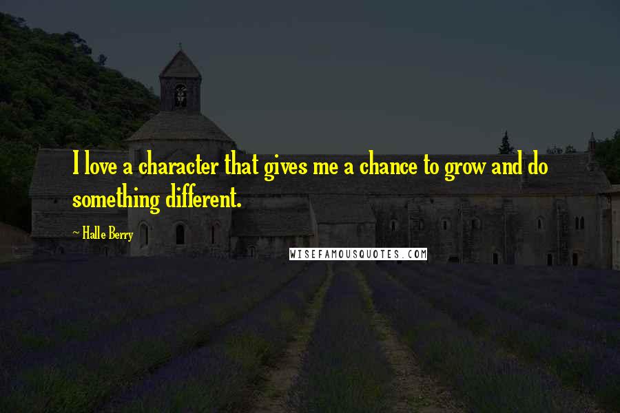 Halle Berry Quotes: I love a character that gives me a chance to grow and do something different.