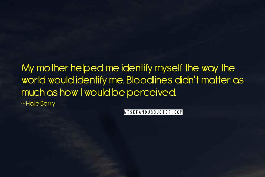 Halle Berry Quotes: My mother helped me identify myself the way the world would identify me. Bloodlines didn't matter as much as how I would be perceived.