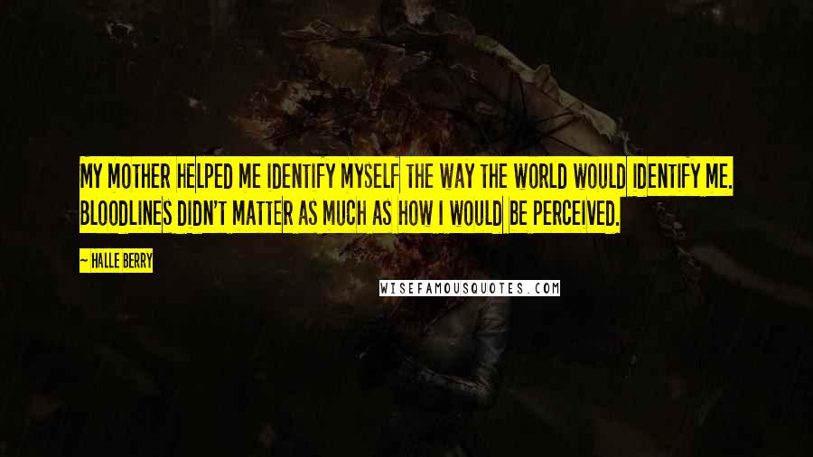 Halle Berry Quotes: My mother helped me identify myself the way the world would identify me. Bloodlines didn't matter as much as how I would be perceived.