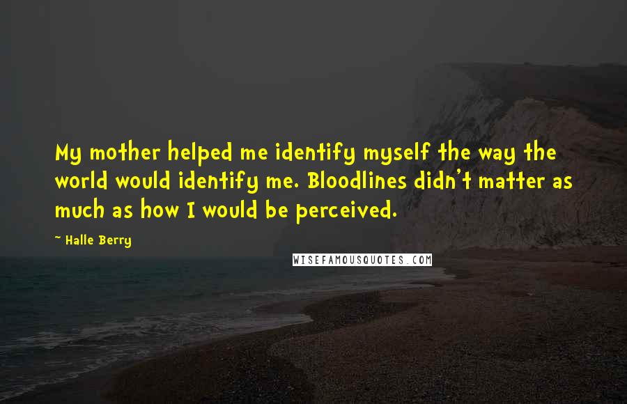 Halle Berry Quotes: My mother helped me identify myself the way the world would identify me. Bloodlines didn't matter as much as how I would be perceived.