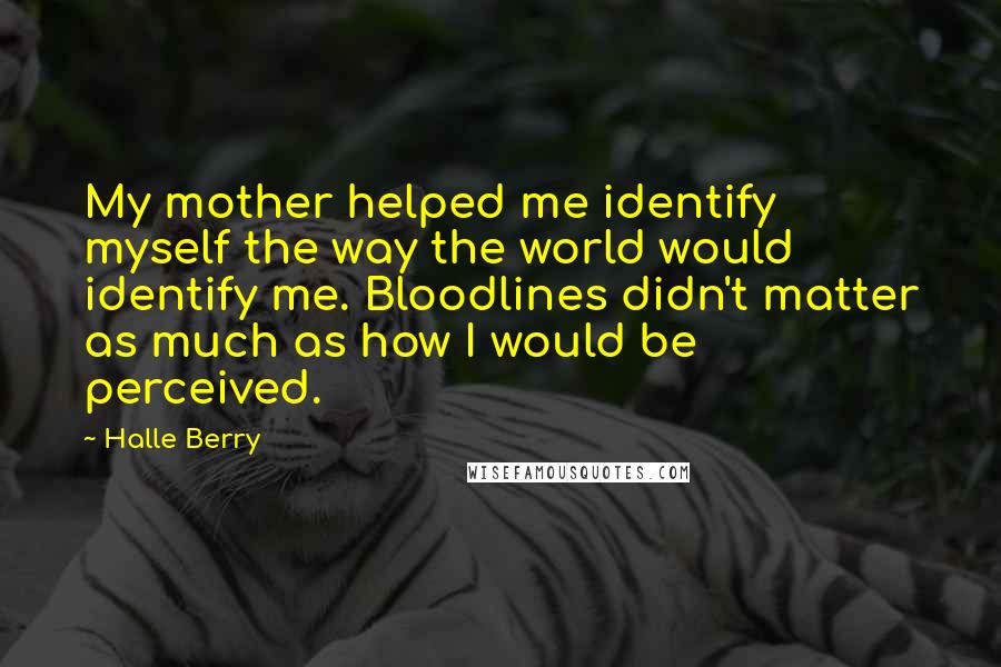 Halle Berry Quotes: My mother helped me identify myself the way the world would identify me. Bloodlines didn't matter as much as how I would be perceived.